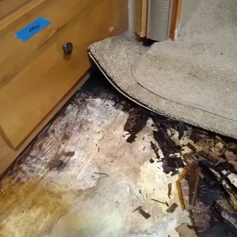 Best Wood Floor Water Damage Service in Batavia, NY